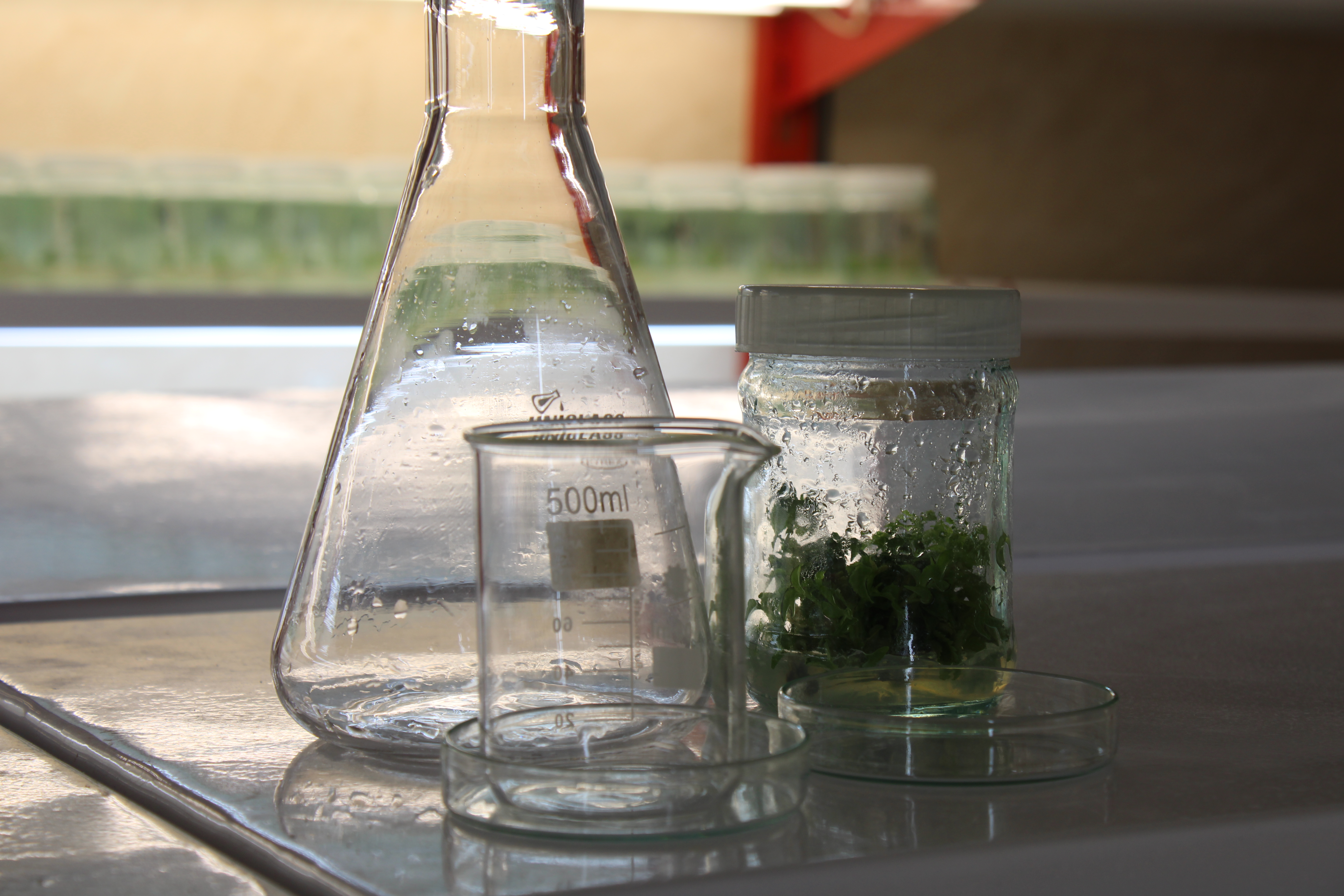Our Laboratory
